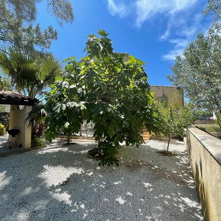 Marseillan Plage Joli T2 Eksteriør bilde
